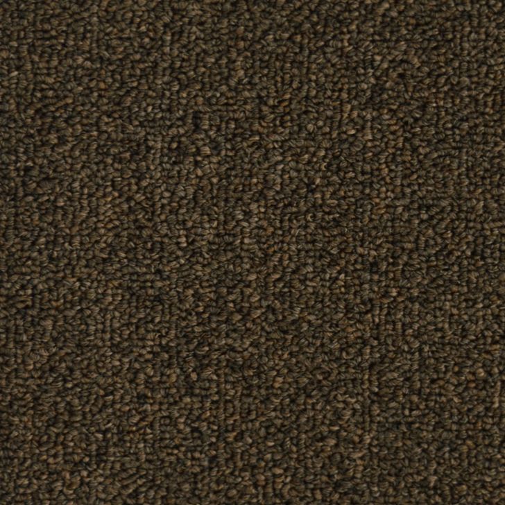 Beaulieu Canada pro,property-management,residential,all Carpet Invasion V 18 j7033