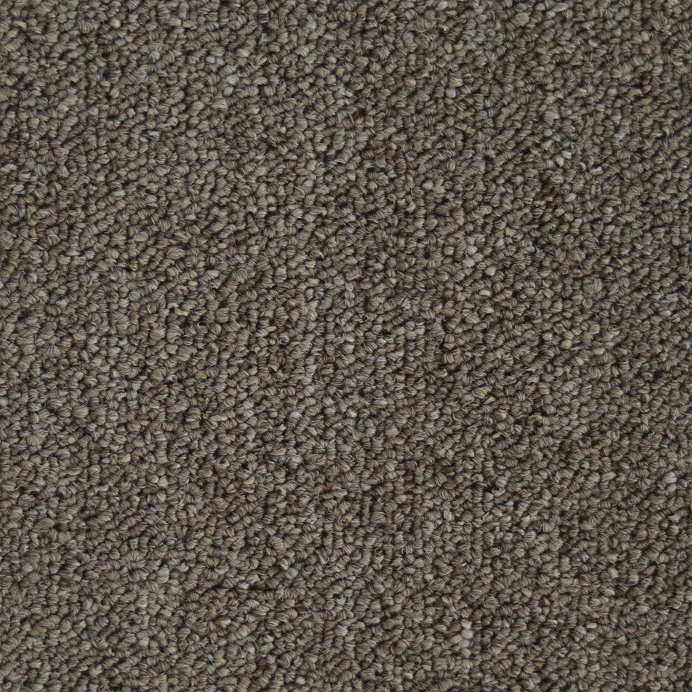 Beaulieu Canada pro,property-management,residential,all Tapis Invasion V 26 j7035