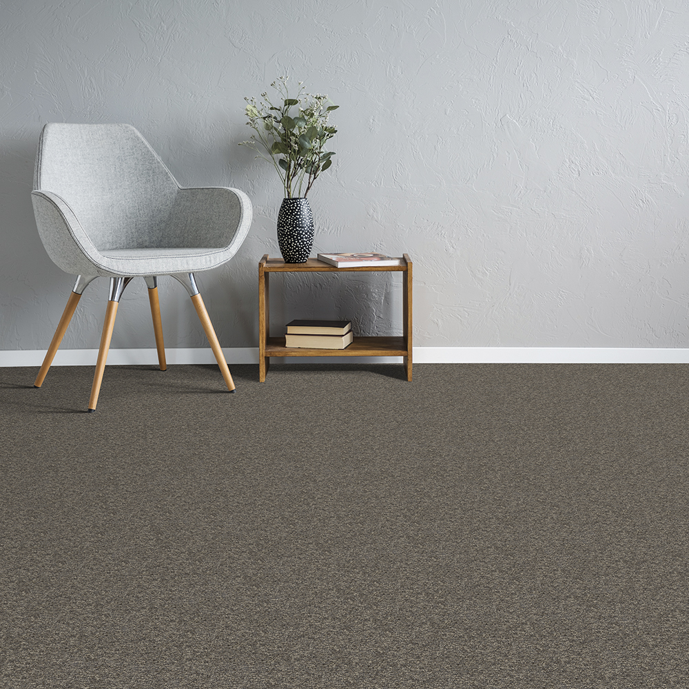 Beaulieu Canada Pro Carpet Axion 26 j8333