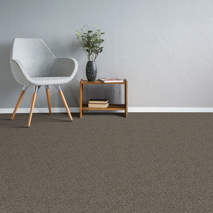 Beaulieu Canada Pro Carpet Axion 26 j8333