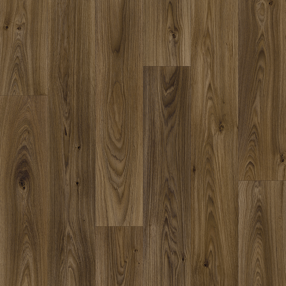 Beaulieu Canada residential,all vinyl Brun équestre b0150