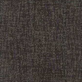 Beaulieu Canada Property Management Carpet Echo tech