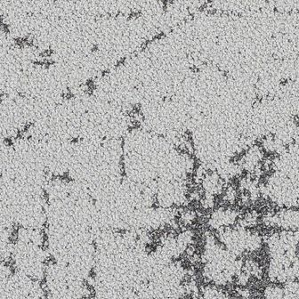 Beaulieu Canada Property Management Carpet Ray Path trap